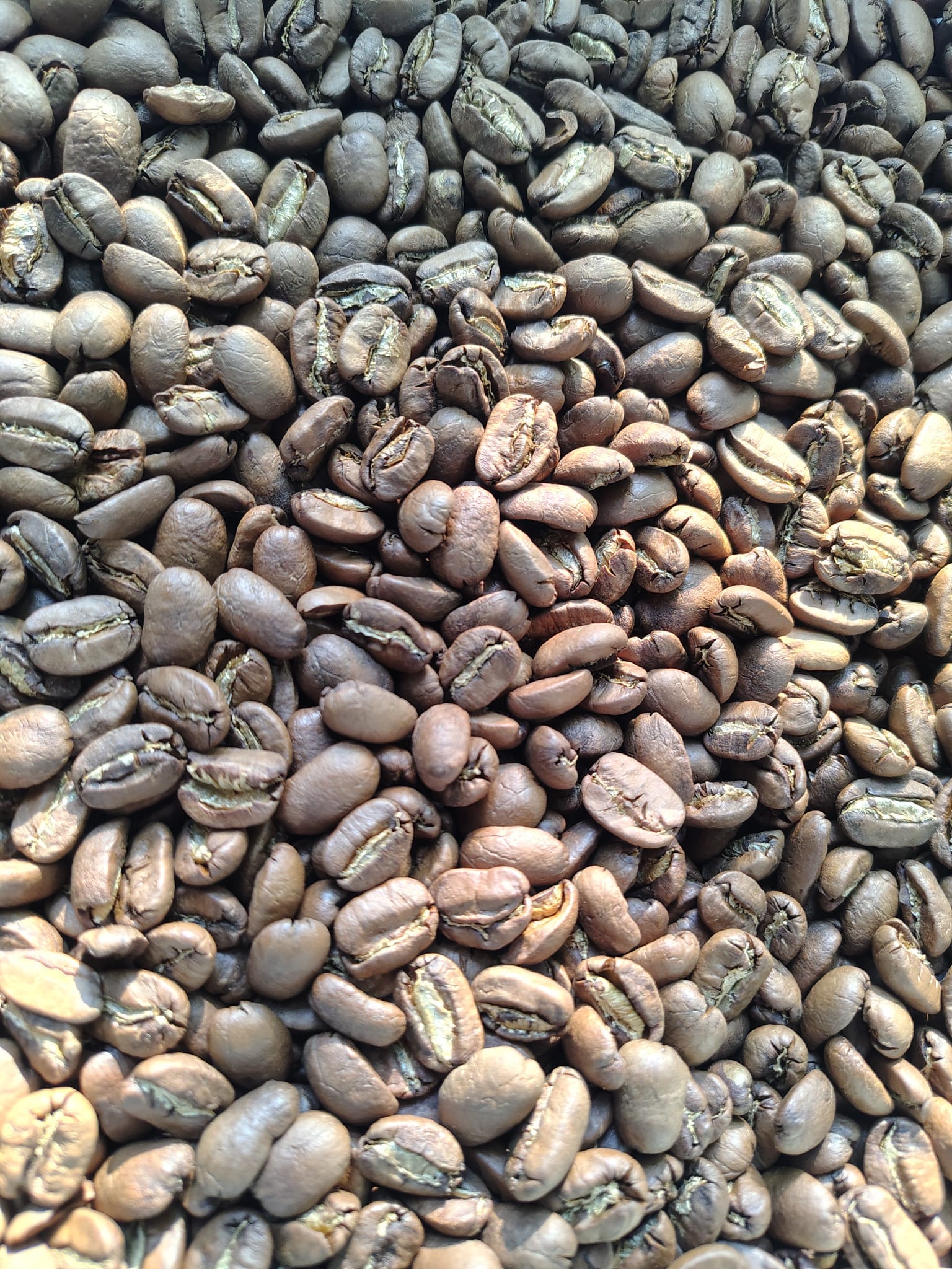 Nicaragua Maragogype Finca La Porra