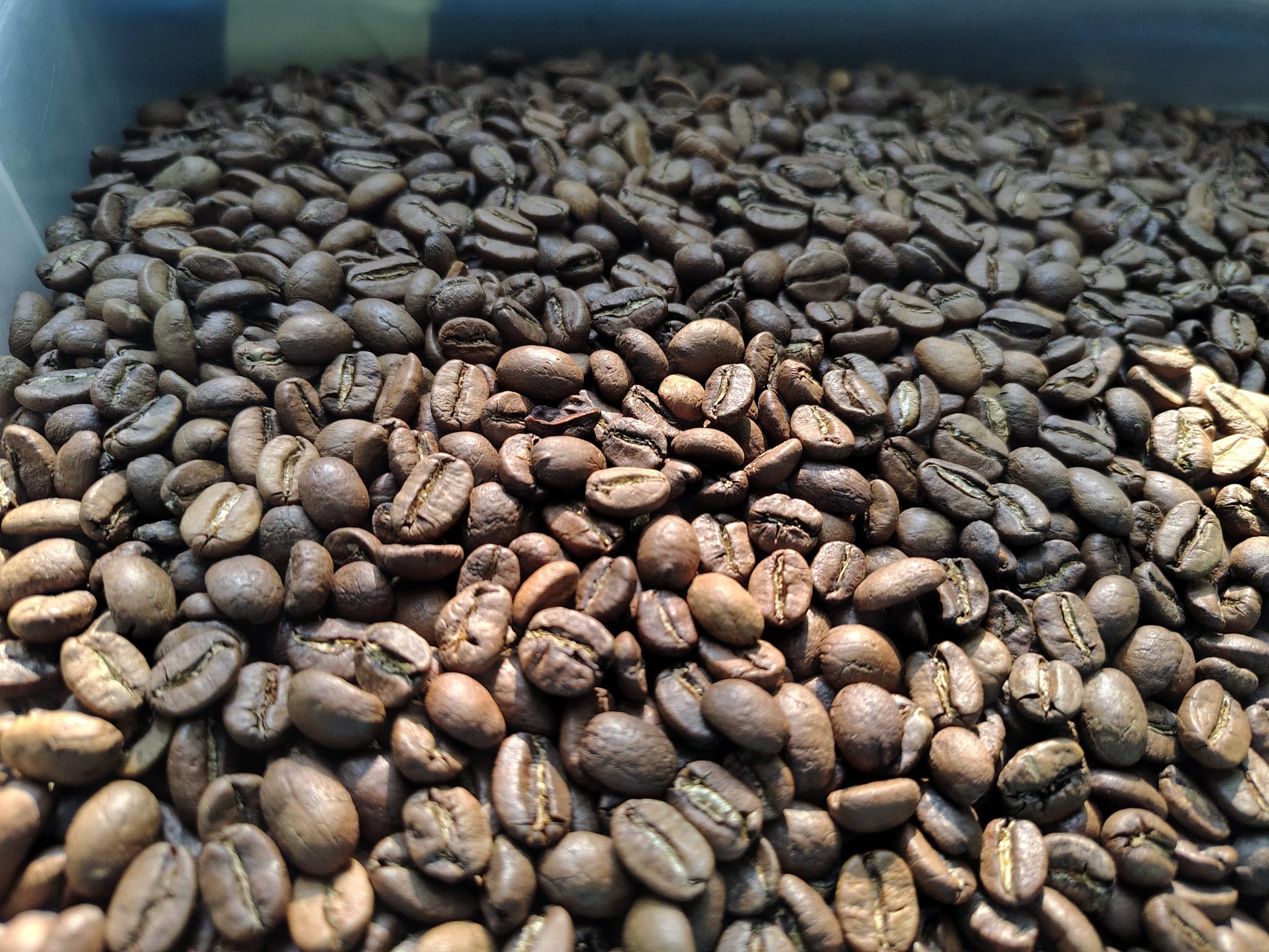Costa Rica San Rafael Tarrazu SHB EP