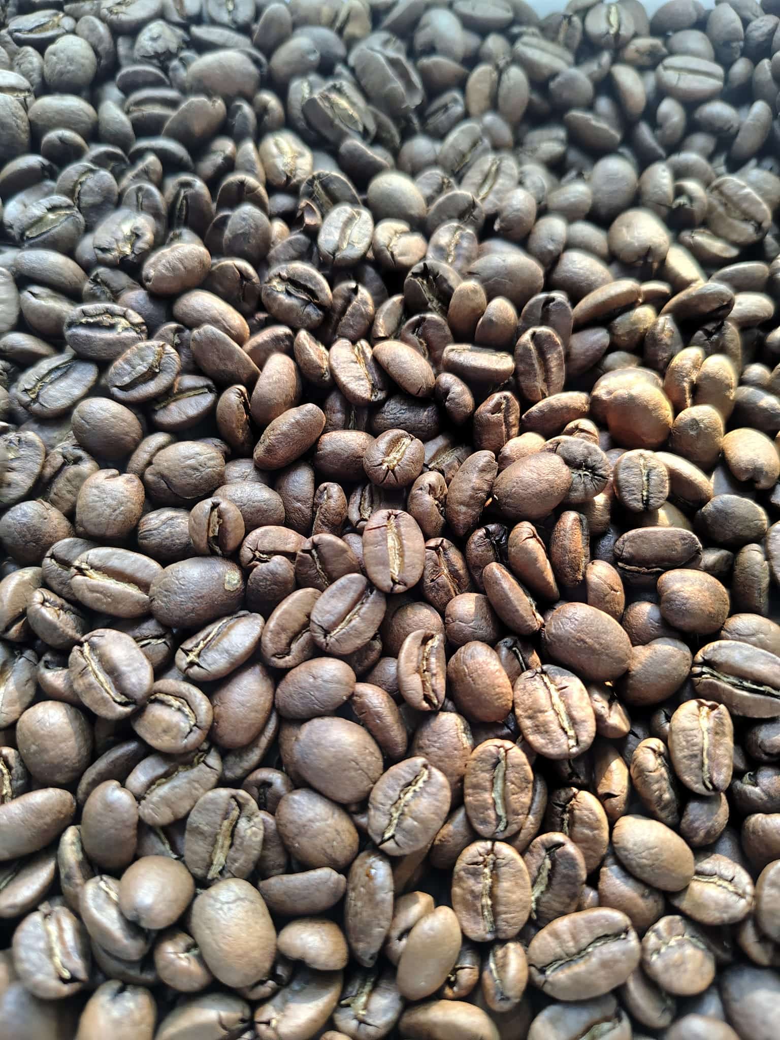 Kenya AA Plus Kijani Kiboko