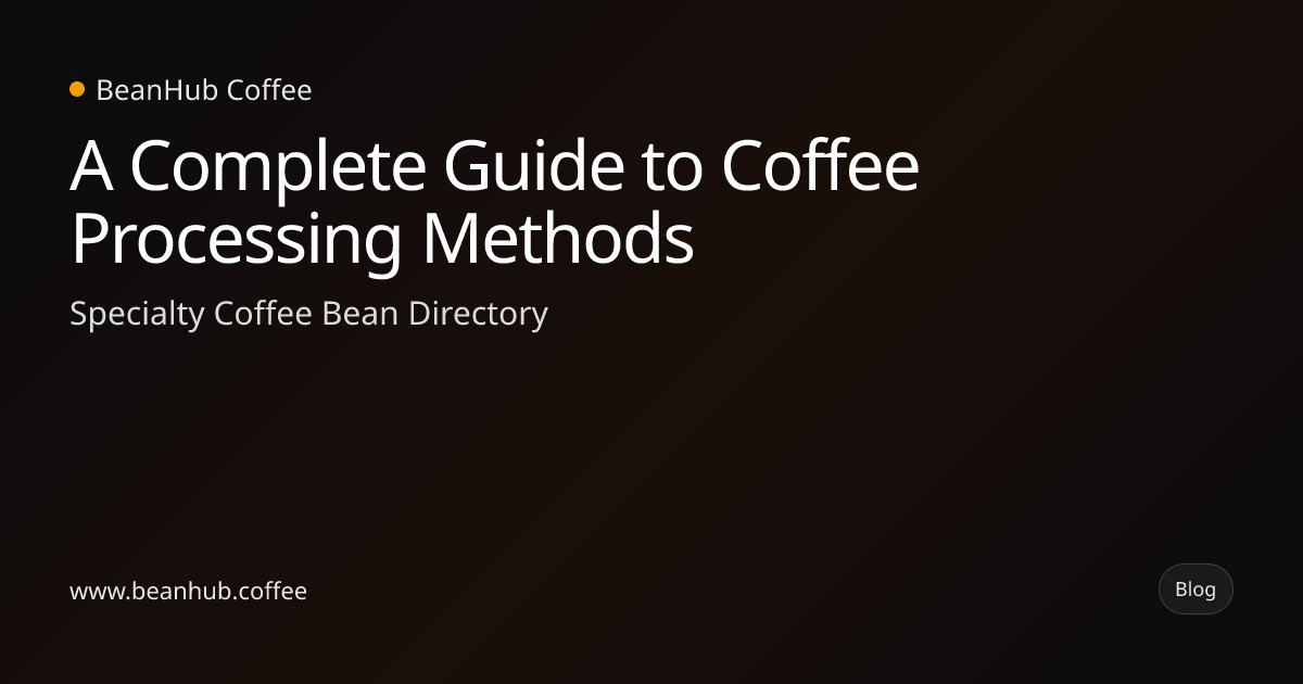 A Complete Guide to Coffee Processing Methods | BeanHub Blog | BeanHub